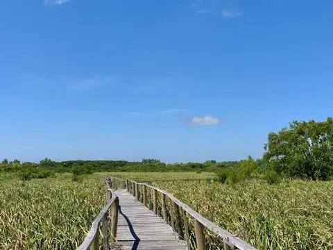 Arroyo Malvinas, Dos Rios 100