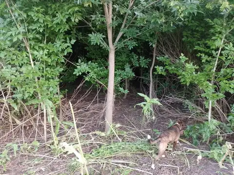 Terreno en Venta de 100000,0 m2