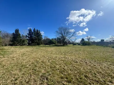 511 Y 208, ABASTO - LOTE DE 6.837M2