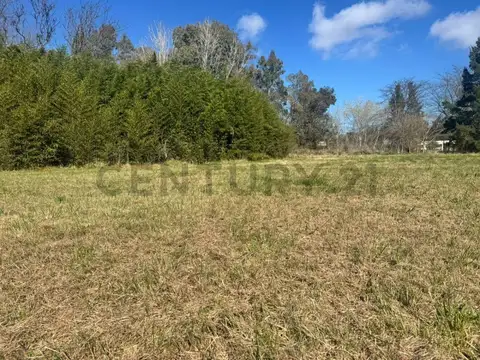 Terreno en Venta 124,30  mts Fondo