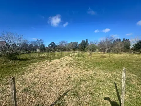 511 Y 208, ABASTO - LOTE DE 6.837M2