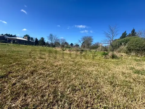 Terreno en Venta en Abasto, USD 95.000