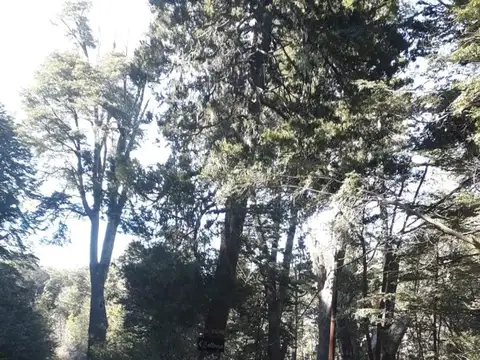 Llao Llao Lago Morenito