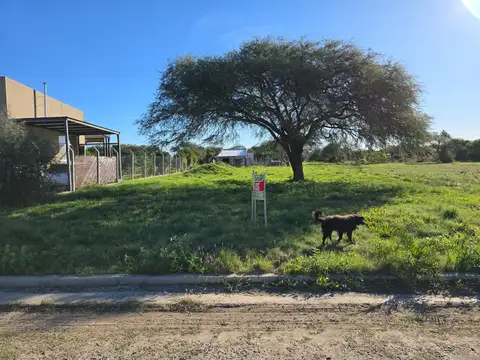 Los Halcones 100, Piso 0