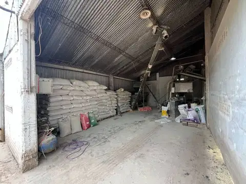 GRANJA DE PORCINA MARCOS PAZ PROV. BS. AS.