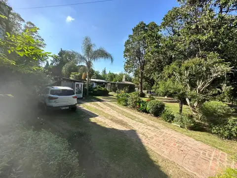 Segundo Sombrambra 2100