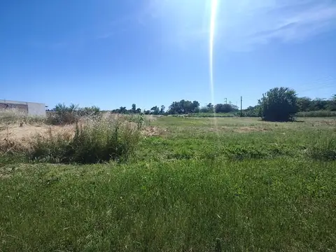 Calle 151 entre 525 y 526 100