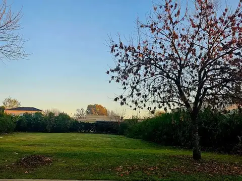 Panamericana Ramal Escobar 700