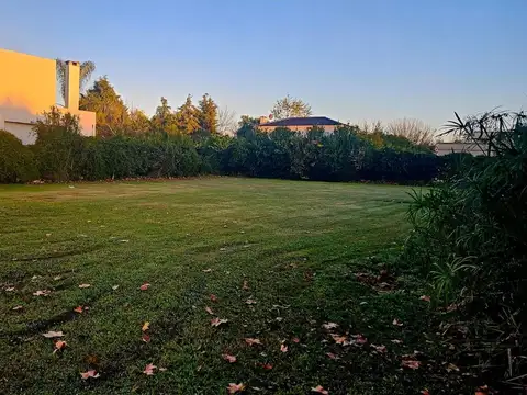 Terreno en Venta de 800,0 m2