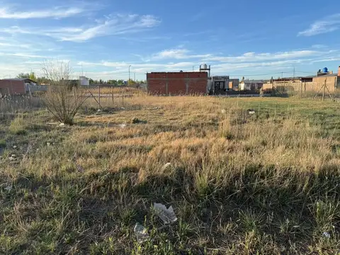 Terreno en Venta en Cinco Saltos, USD 8.500