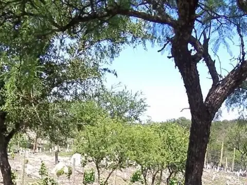 Terreno en Venta de 25000,0 m2