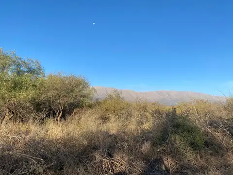 Terreno en Venta 75  mts Fondo