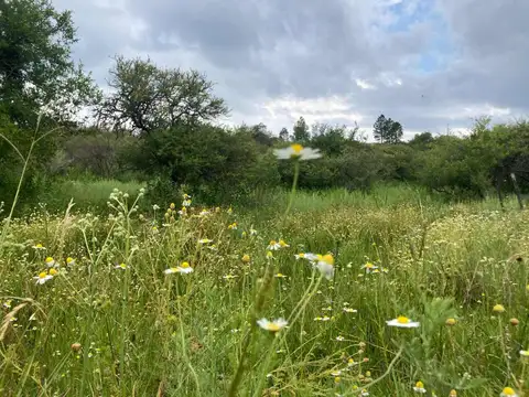 VENTA Lote Tanti, Flor Serrana 1520m2 Cba