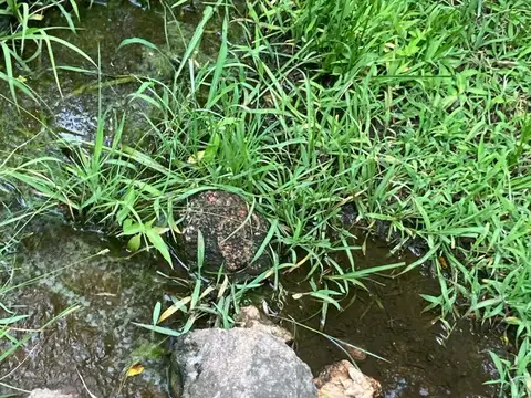 Terreno en Venta en Tanti, USD 14.000