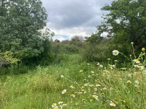 VENTA Lote Tanti, Flor Serrana 1520m2 Cba