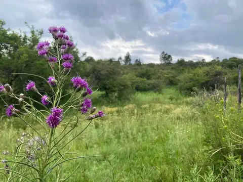 Terreno en Venta de 1520,0 m2