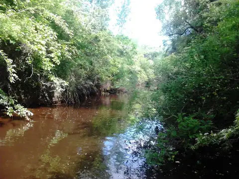 Rio / Arroyo Lima 100