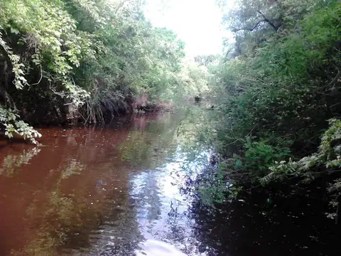 Rio / Arroyo Lima 100