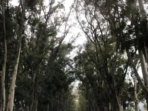 Terreno en Venta de 2054,0 m2