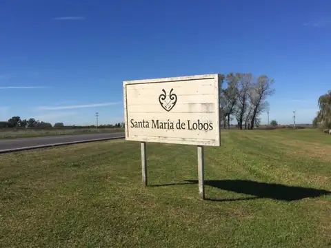 Santa Maria de Lobos