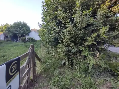 Carlos cuarta y cerro ricon 500, Piso 0