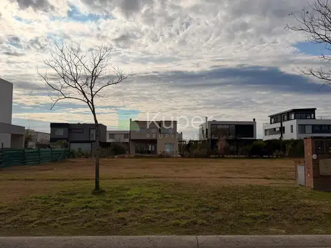 Puertos, Araucarias Sn