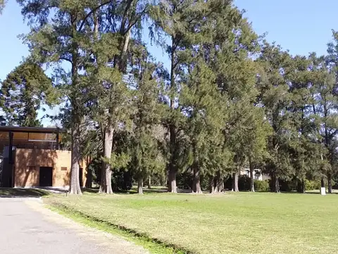 La Arbolada, terreno a la venta