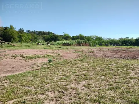 MMP. Campo 146 ha. Zona Cardales, Campana