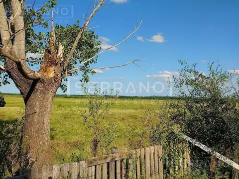 Importante Campo en Venta  146ha  junto a Colonia de Chacra