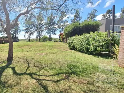 Terreno en Venta 37  mts Fondo