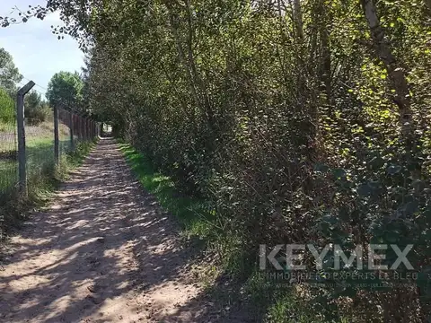 Terreno en Venta en Costa Del Este, USD 55.000