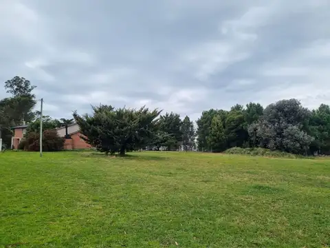 Avenida Del Campamento y Las Lomas