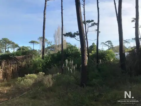 Terreno en Venta en Montoya, USD 135.000