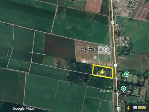 Ruta 9 km 1281, San Andrés, Dpto. Cruz Alta, Tucumán