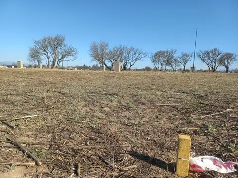 Zona Aeropuerto. Vía Aurelia. Mza 51. Lote 100