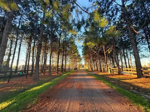 Terreno en Venta en La Macarena, USD 110.000