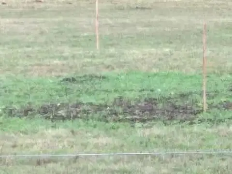 Terreno en Venta 46  mts Fondo