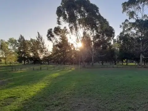 Terreno en venta - 900Mts2 - Abasto, La Plata