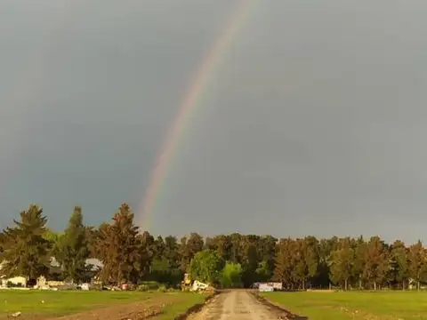 Terreno en Venta en Abasto, USD 25.000