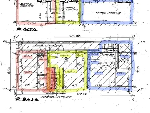 Doctor Florentino Ameghino 1800