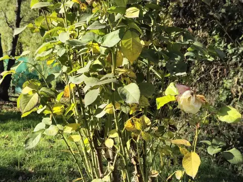 Terreno en Venta en El Bolson, USD 36.000