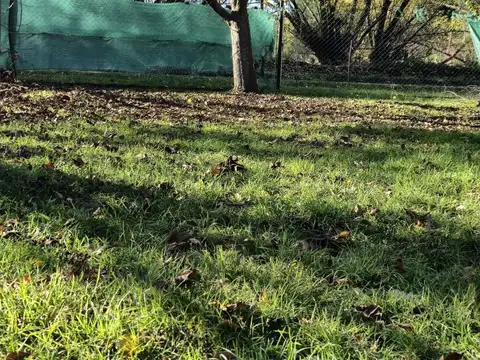 Terreno en Venta de 300,0 m2