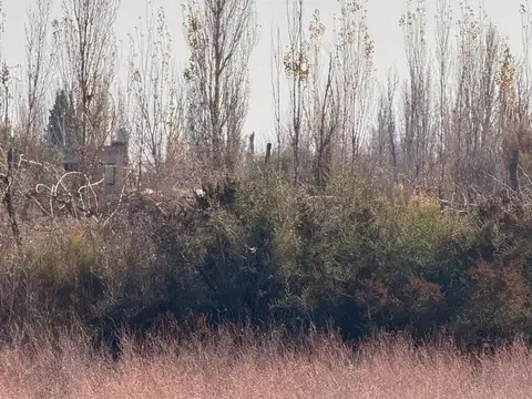 Callejon Carmen Ortega