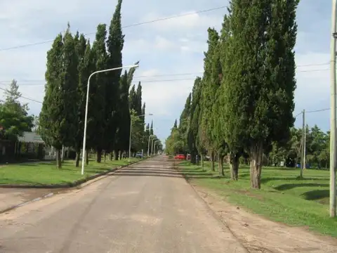 25 DE MAYO , Piso 430