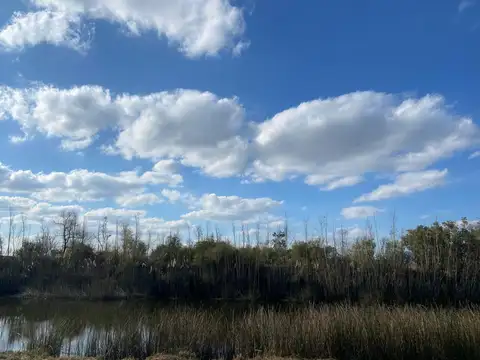 Terreno en Venta de 714,0 m2