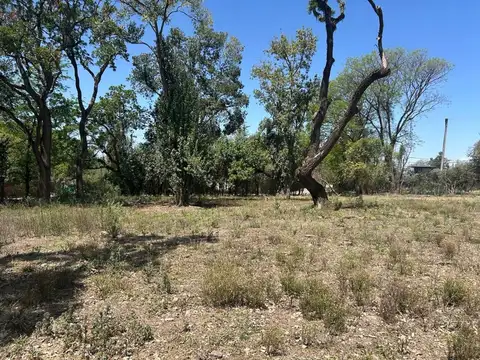 Terreno en Venta en San Lorenzo, USD 340.000