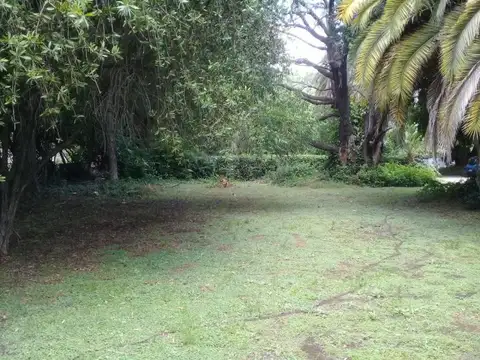 Terreno en Venta 20,73  mts Frente