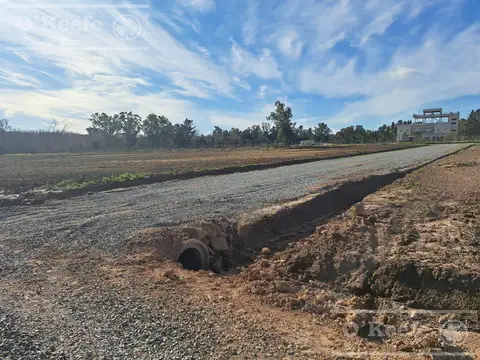 Terreno en Venta de 295,0 m2