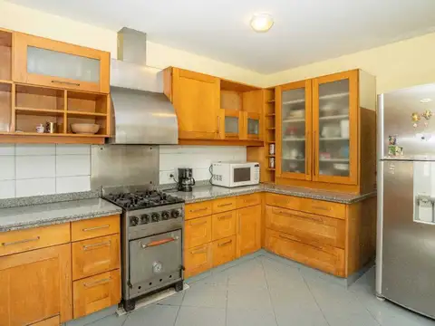 Ruy Díaz de Guzmán 100