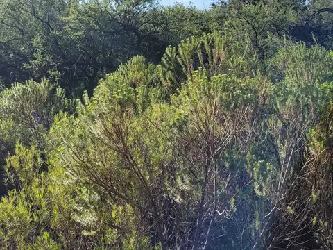 Terreno en Venta en Los Molles, USD 15.000